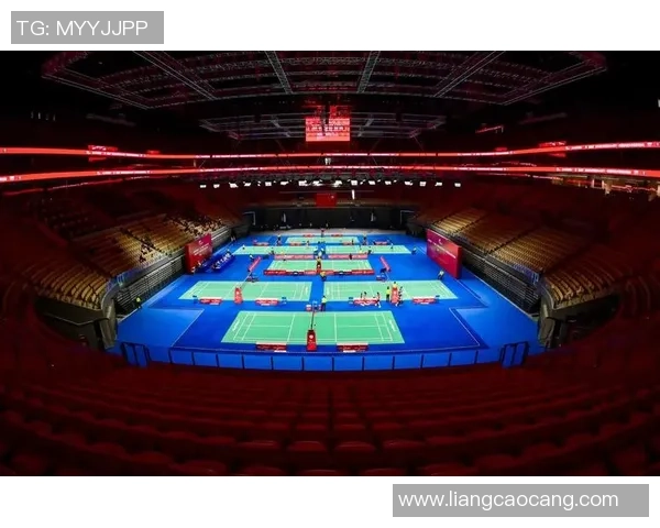 深圳羽毛球队实力分析与发展前景探讨